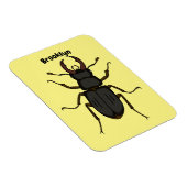 Schildering van keverinsecten magneet (Rechterzijde)