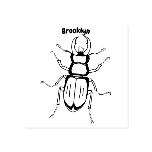 Schildering van keverinsecten rubberstempel (Afrduk)