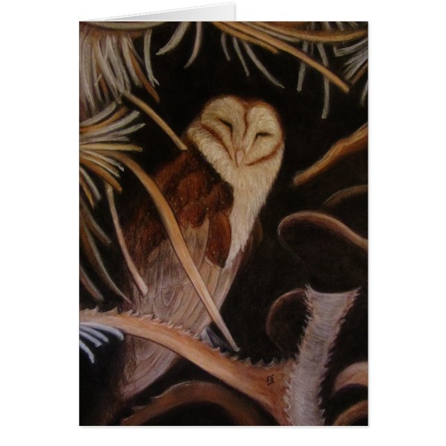 schilderschilderij van de slavenhok (Voorkant)