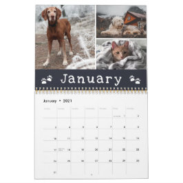 Schilderschilderingen najaar Maanden Pet Foto Coll Kalender