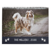 Schilderschilderingen najaar Maanden Pet Foto Coll Kalender (Hoes)