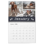 Schilderschilderingen najaar Maanden Pet Foto Coll Kalender (Jan 2026)