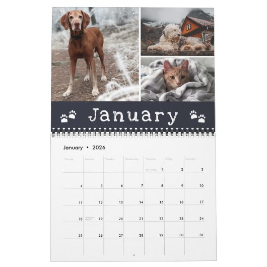 Schilderschilderingen najaar Maanden Pet Foto Coll Kalender (Jan 2026)