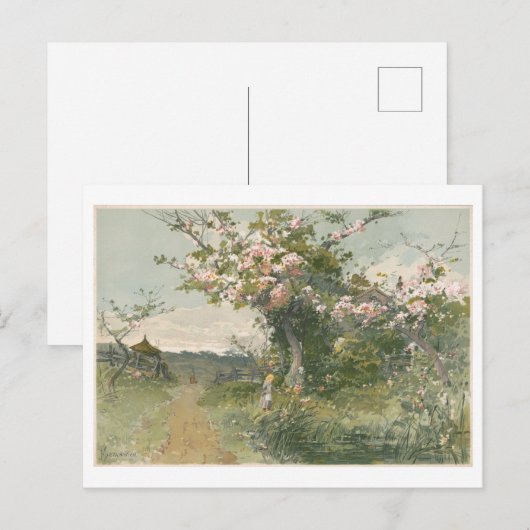  schilderveer met kersenbloesems briefkaart (Voorkant / Achterkant)