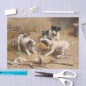 Schildgeschil door Carl Reichert Tissuepapier (Craft)