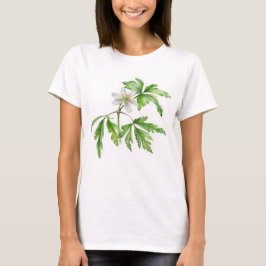 Schildhout, anemone fijn T-shirt