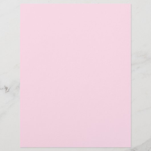 Schildkippen Flyer (Achterkant)