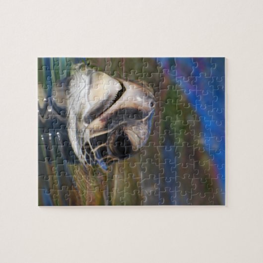 Schildkop Legpuzzel (Horizontaal)