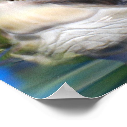 Schildkop Poster (Hoek)