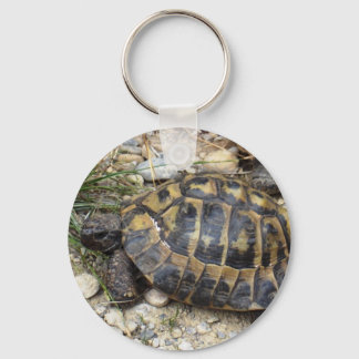 Schildkröte Sleutelhanger