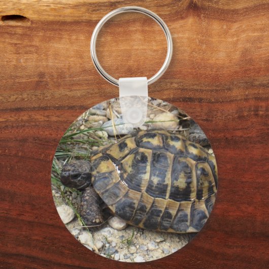 Schildkröte Sleutelhanger (Voorkant)
