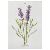 Schildlavender Sprig Klembord (Achterkant)