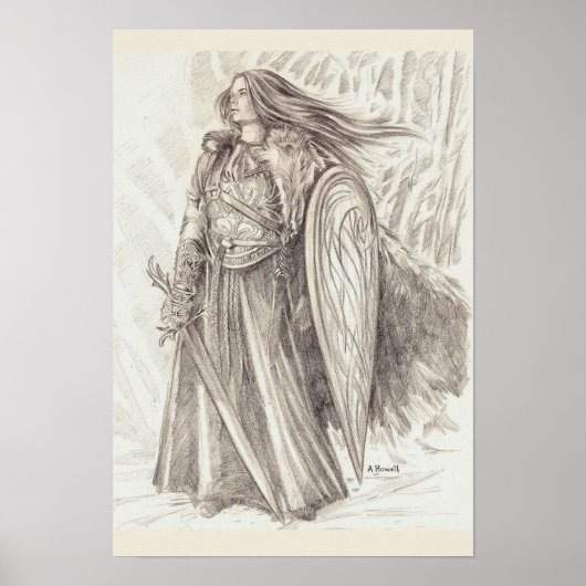 Schildmaiden van Avalon Poster (Voorkant)