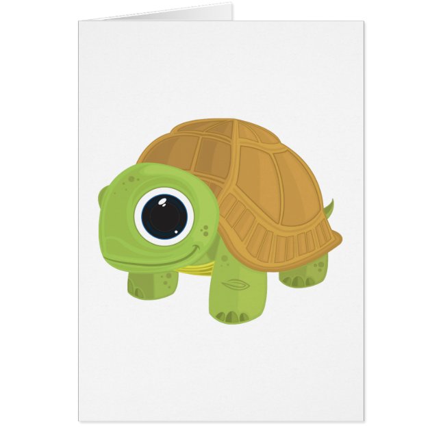 Schildpad (Voorkant)