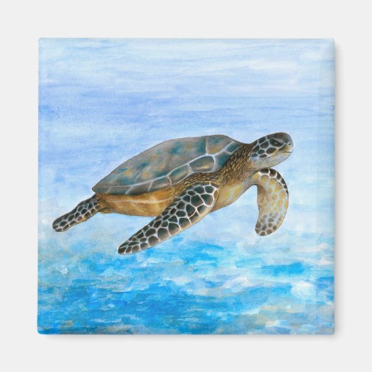 Schildpad 1 magneet (Voorkant)
