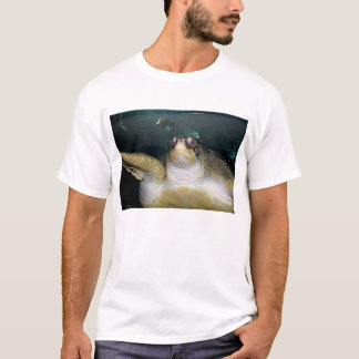 Schildpad 2 t-shirt