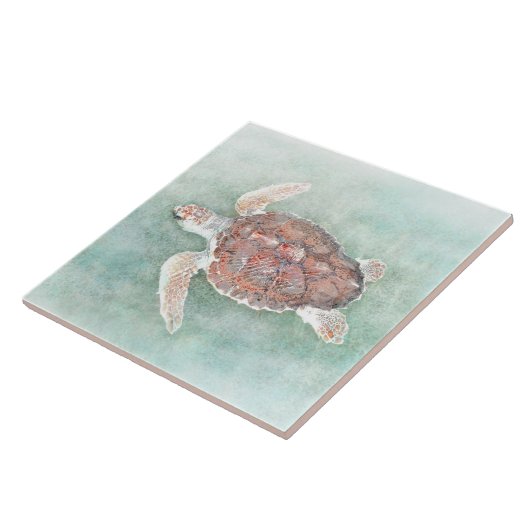 schildpad 2 tegeltje (Zijkant)