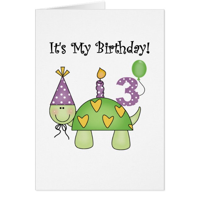 Schildpad 3e verjaardag Tshirts en geschenken (Voorkant)