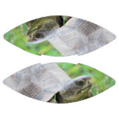 Schildpad American Football (Panelen)