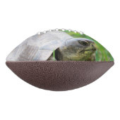 Schildpad American Football (Gedraaid 90)