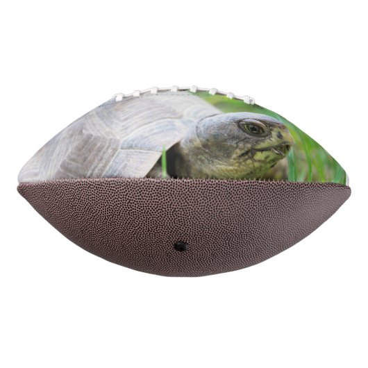 Schildpad American Football (Gedraaid 270)