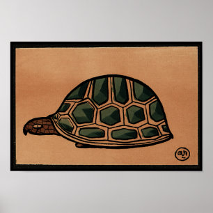 Schildpad - Antiquarian, Colorful Book Illustratio Poster