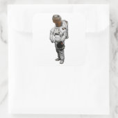 Schildpad Astronaut Sticker (Tas)
