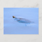Schildpad bij passie briefkaart (Voorkant)