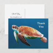 Schildpad Blau Water Zee Foto Bedankt Briefkaart (Voorkant / Achterkant)