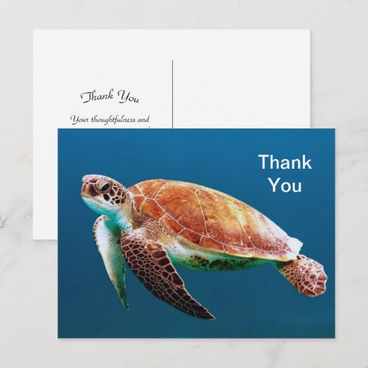 Schildpad Blau Water Zee Foto Bedankt Briefkaart (Voorkant / Achterkant)