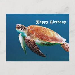 Schildpad Blauwe Water Zee Foto Verjaardag Briefkaart