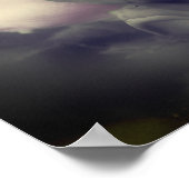 Schildpad bloem in gedeeltelijke kleur poster (Hoek)