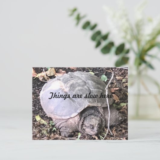Schildpad Briefkaart (Staand voorkant)