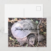 Schildpad Briefkaart (Voorkant / Achterkant)