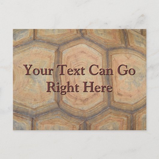 schildpad Briefkaart (Voorkant)