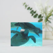 schildpad briefkaart (Staand voorkant)