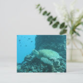 Schildpad Briefkaart (Staand voorkant)