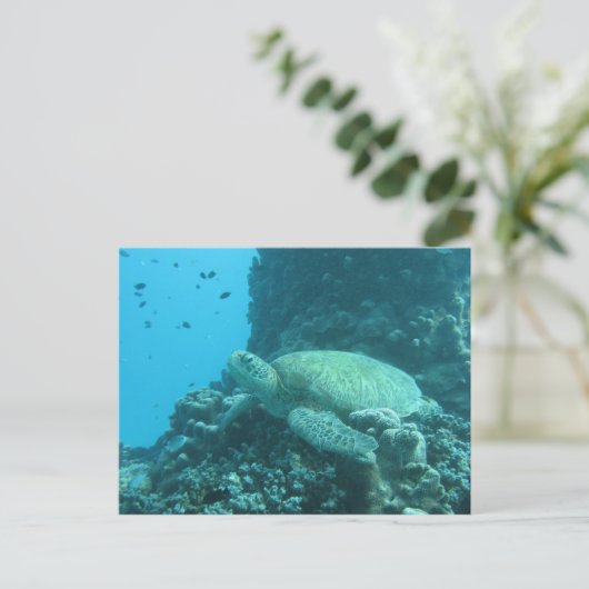 Schildpad Briefkaart (Staand voorkant)