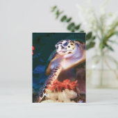 Schildpad Briefkaart (Staand voorkant)