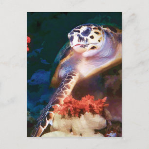 Schildpad Briefkaart