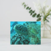 Schildpad Briefkaart (Staand voorkant)