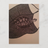 schildpad briefkaart (Voorkant)