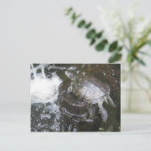 Schildpad Briefkaart (Staand voorkant)