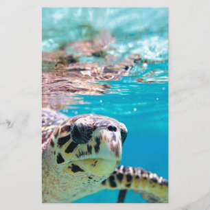 Schildpad Briefpapier