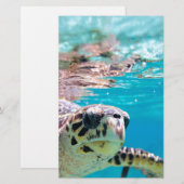 Schildpad Briefpapier (Voorkant / Achterkant)