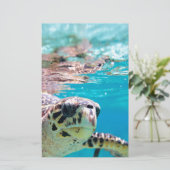 Schildpad Briefpapier (Staand voorkant)