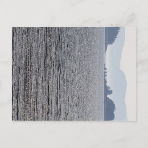 Schildpad, bril en berg-woestijneilanden, Maine Briefkaart