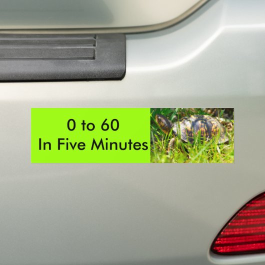 Schildpad Bumpersticker (Op auto)