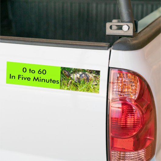 Schildpad Bumpersticker (Op Truck)