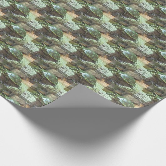 Schildpad Cadeaupapier (Hoek)